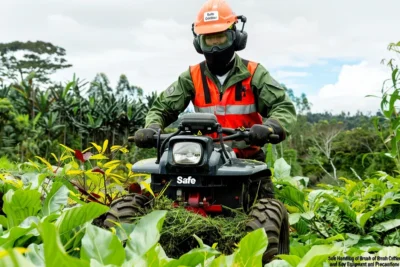 Manejo Seguro de Desbrozadoras Equipamiento y Precauciones